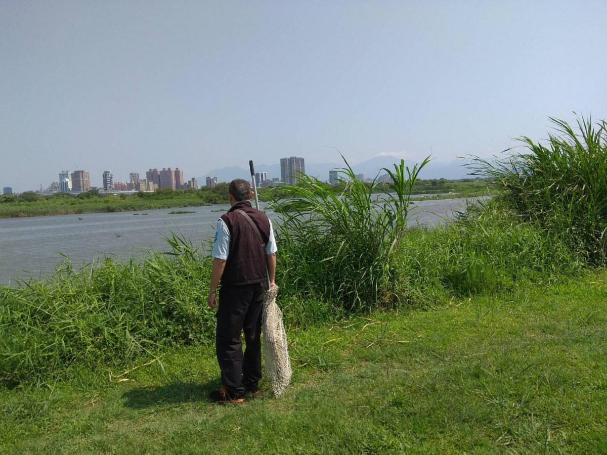 北市動保處從3月份至今派遣隊員前往華江雁鴨自然公園進行查訪作業並執行精確捕捉共出勤46次。台北市動保處/提供
