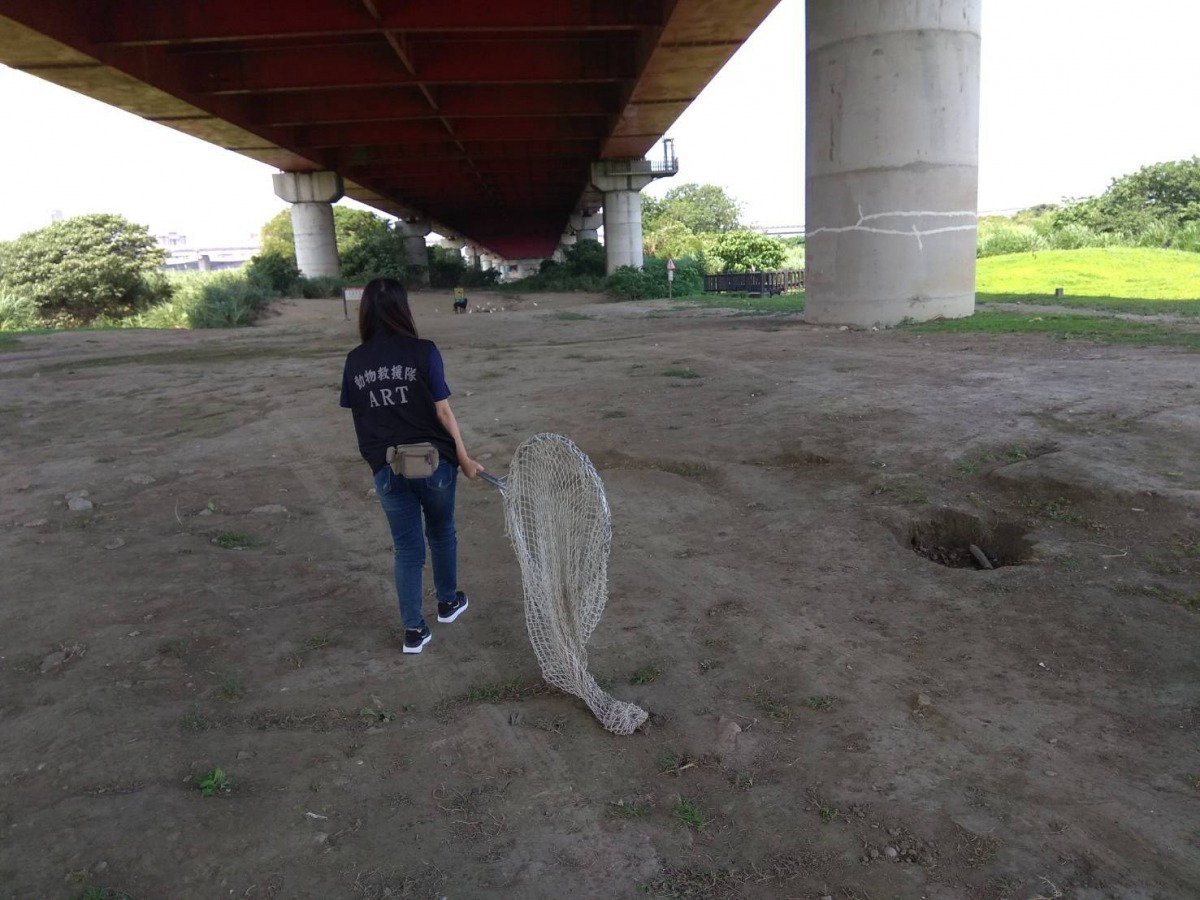 北市動保處將華江雁鴨自然公園列為重點專案管制區域，自4月22日起每天派員專案巡查。台北市動保處/提供