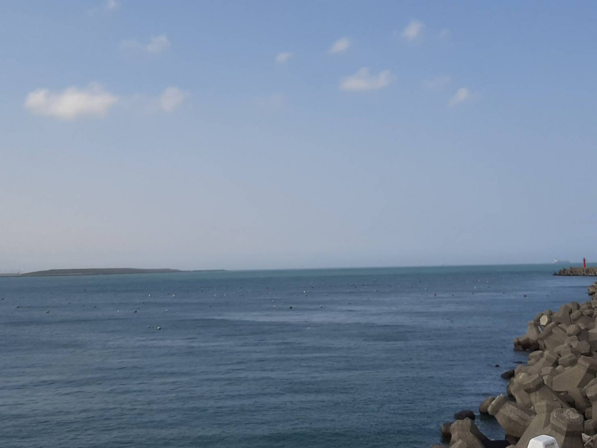 每年冬季在河口海域捕撈鰻苗是部分漁民重要收入來源之一。新北市政府/提供