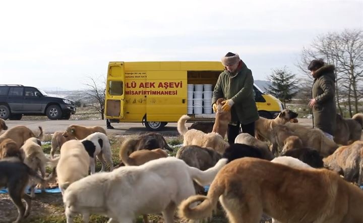 伊斯坦堡愛心商人Unal Hekim每日用兩輛貨車，載運150桶鮮食餵養郊區的流浪狗。  取自yenisafak.com