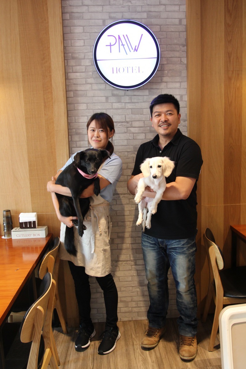 105年動物友善空間-跑飯店，提供寵物聚會，舉辦外出禮儀課程。有故事/提供