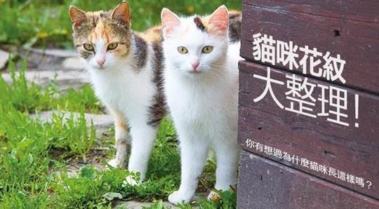 哈寵誌/提供(以下皆同)