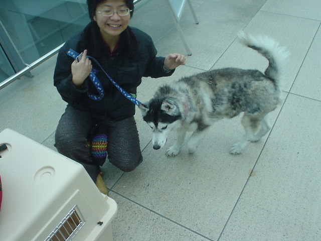 威良到德國法蘭克福機場接Woman。劉威良/提供