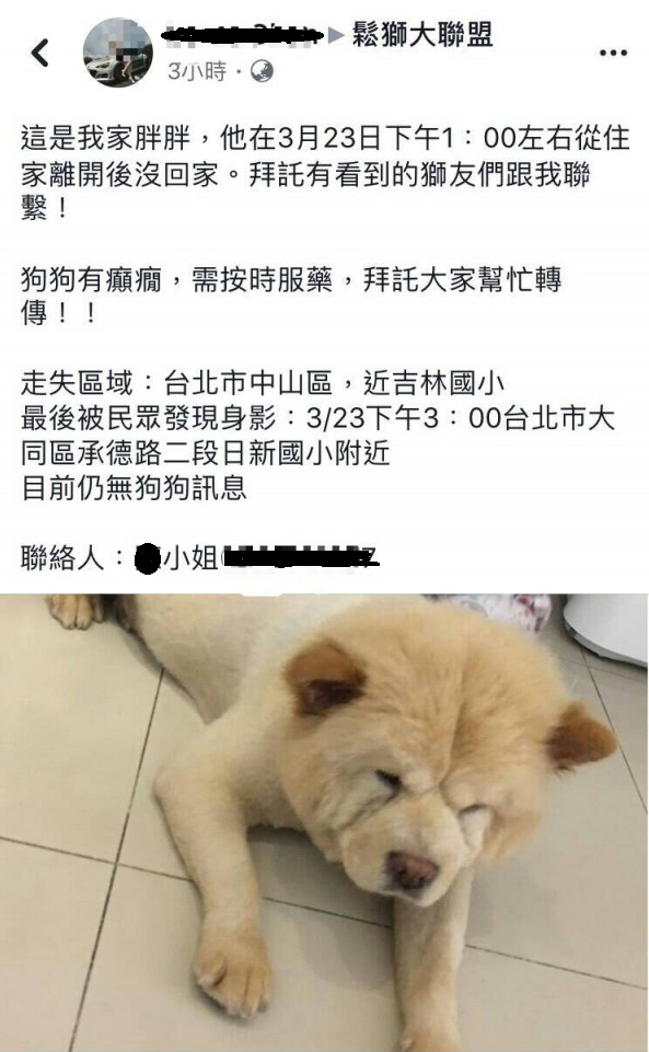 鬆獅犬「胖胖」於自家附近走失，飼主急PO網協尋。雨林/翻攝