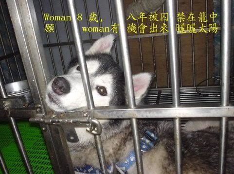 Woman 在台灣被關在鐵籠中， 幫忙Women許願，製作的卡片。劉威良/提供