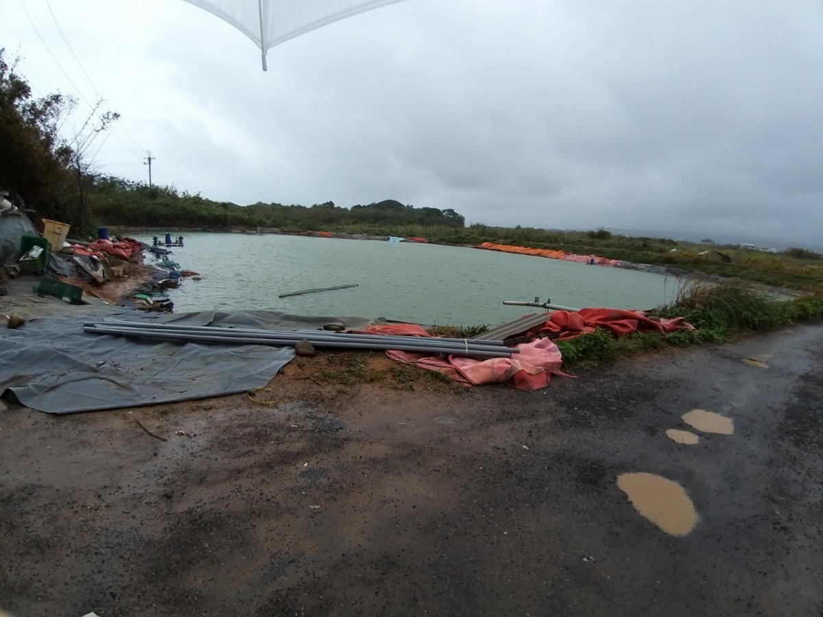 感染蝦瘟現場約8百坪。新北市政府/提供