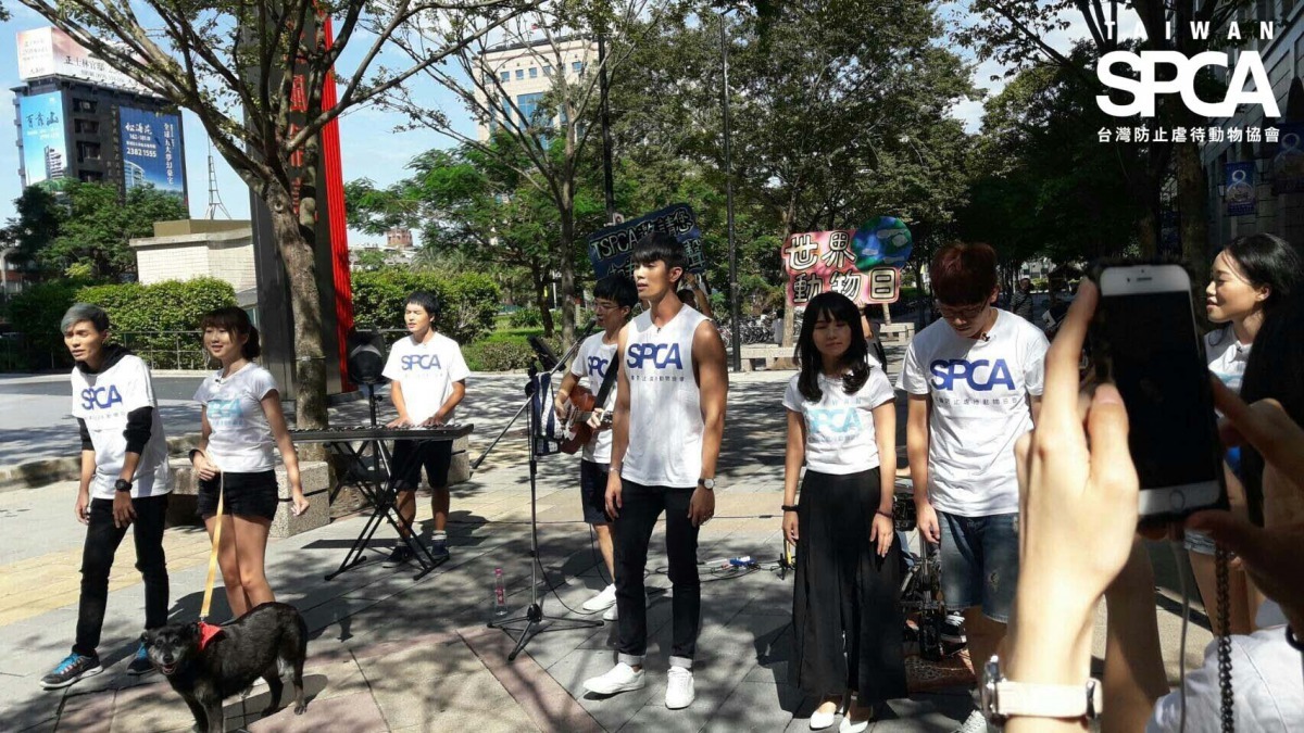 TSPCA邀請網路紅人舉辦歌唱快閃活動。TSPCA/提供