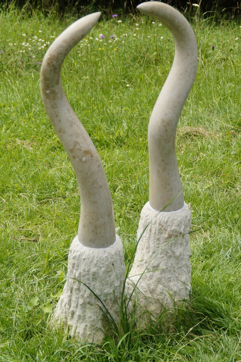 「象牙」非經主管機關同意,不得買賣或在公共場所陳列、展示之保育類野生動物產製品。取自pixabay