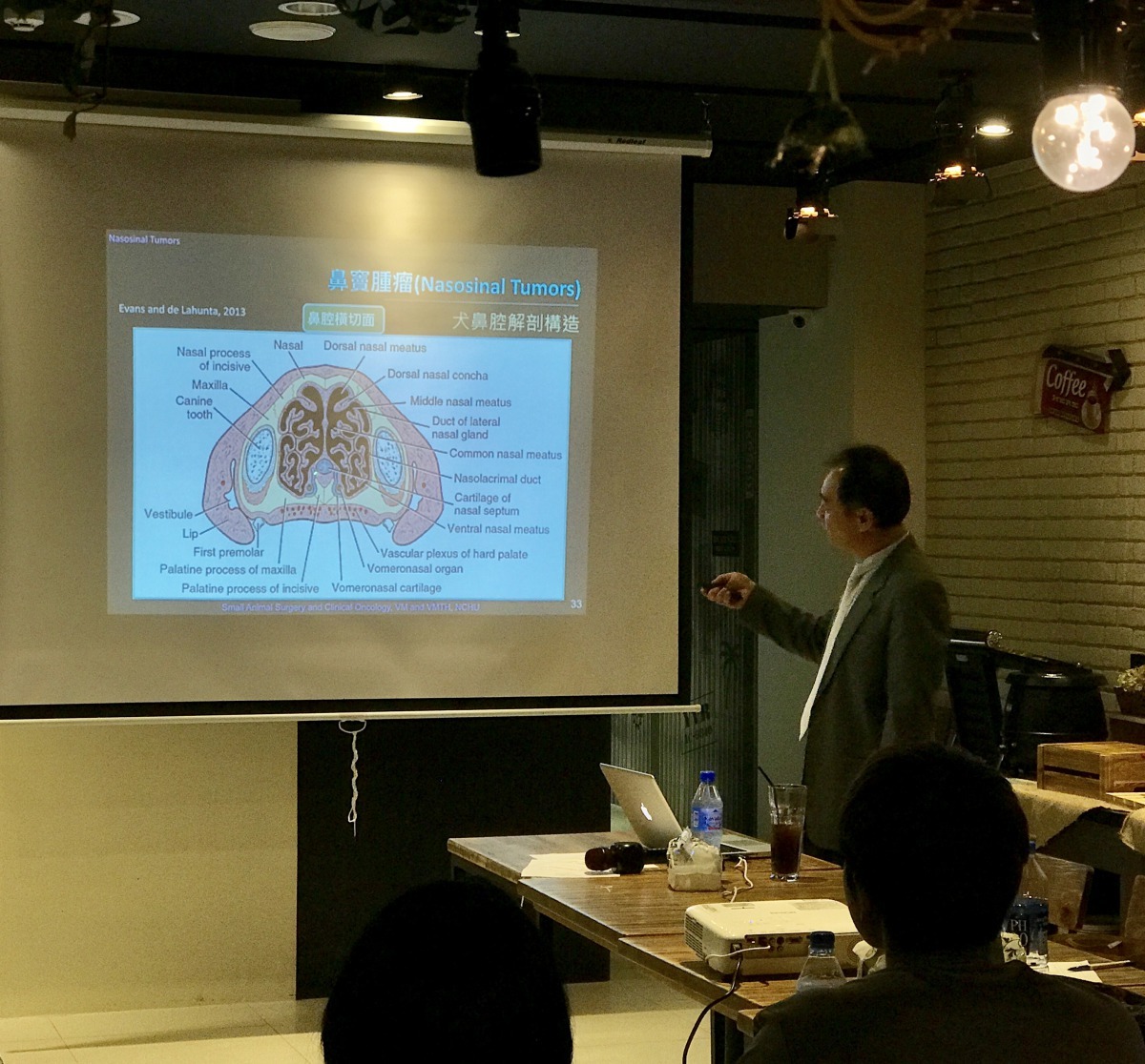 根據國際科研統計，七歲以上的狗狗約有 47% 、貓咪則約有33%是死於癌症與癌症相關疾病。雨林/翻攝