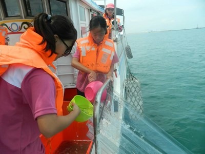 第一批放流工作已於7月26日放流2.5萬尾，預計8月9日、22日及23日，將再以漁船載運魚苗至梧棲漁港近海等人工魚礁及保護礁區放流。台中市政府/提供