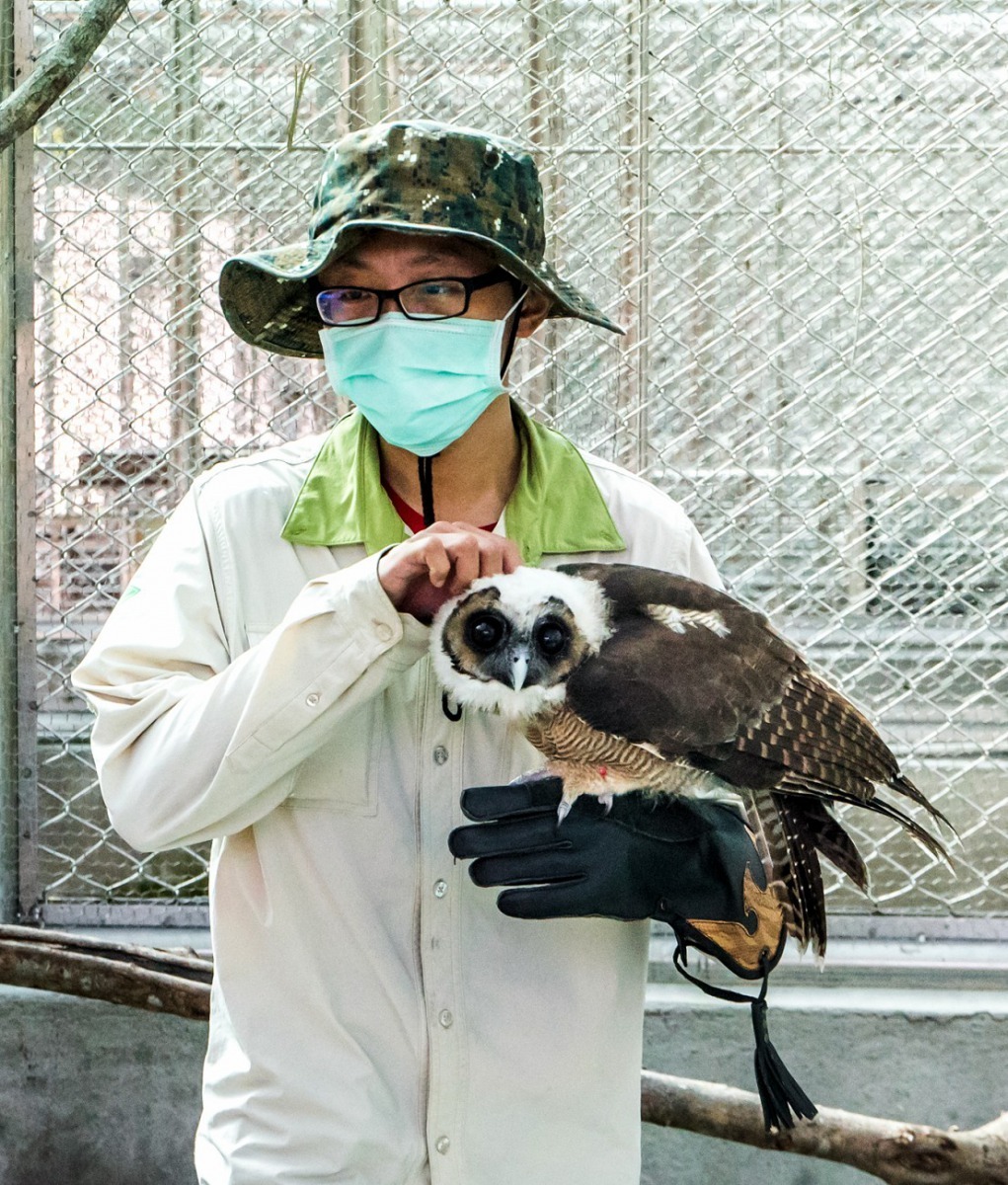 「雪寶」捨不得和保育員分開。台北市立動物園/提供