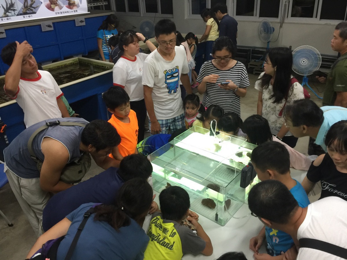 學員們坐好觀眾席，等待珍貴的一刻，一起為珊瑚爸爸媽媽加油。新北市政府/提供