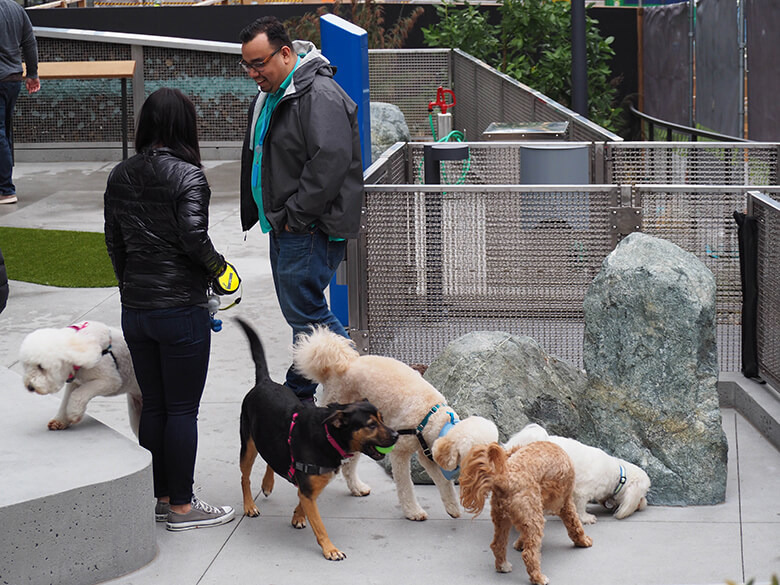 毛小孩促進公司員工彼此的交流互動。取自This Dog's Life