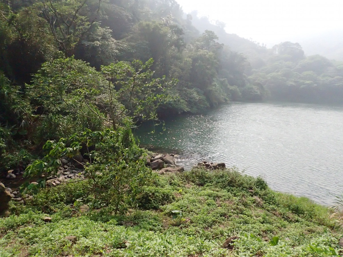 堰塞湖。行政院農業委員會特有生物研究保育中心/提供
