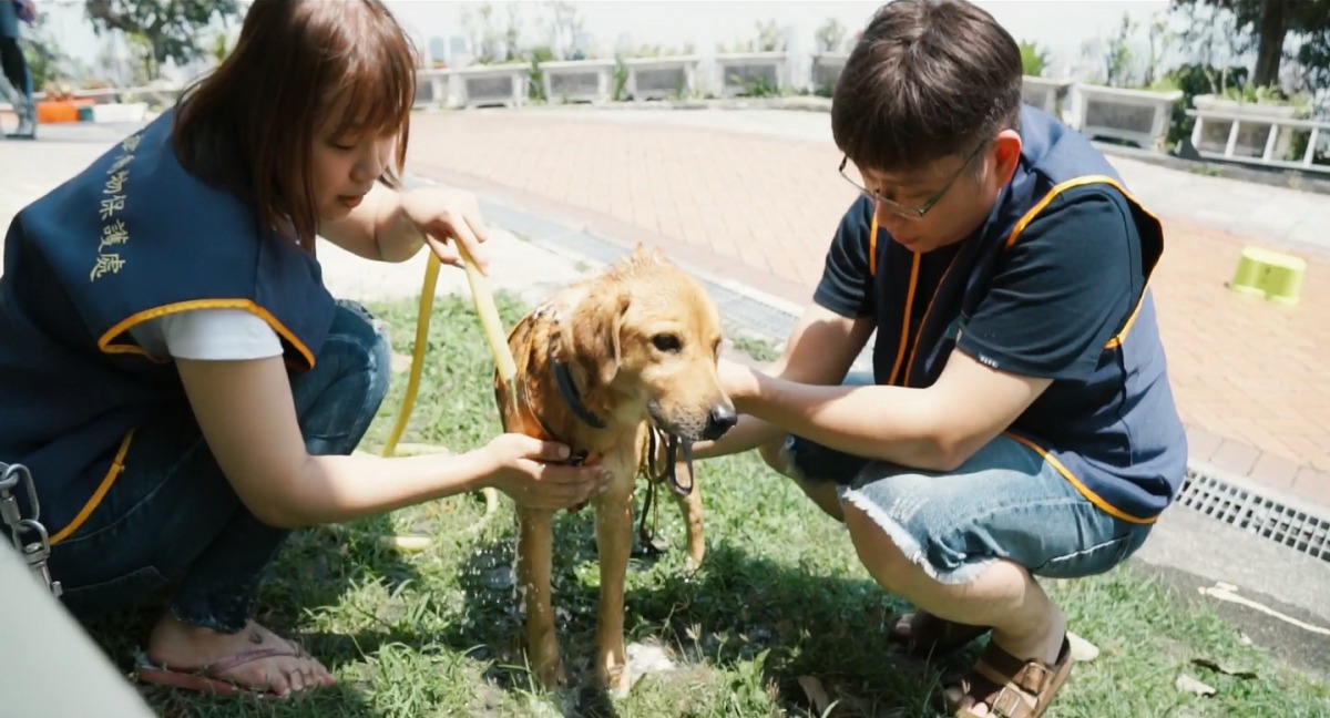 娜莎拔與娜莎麻拍攝志工服務幫狗洗澡。圖／婚錄加樂福團隊／娜莎連線授權提供，未經同意禁止任意翻攝拷貝。
