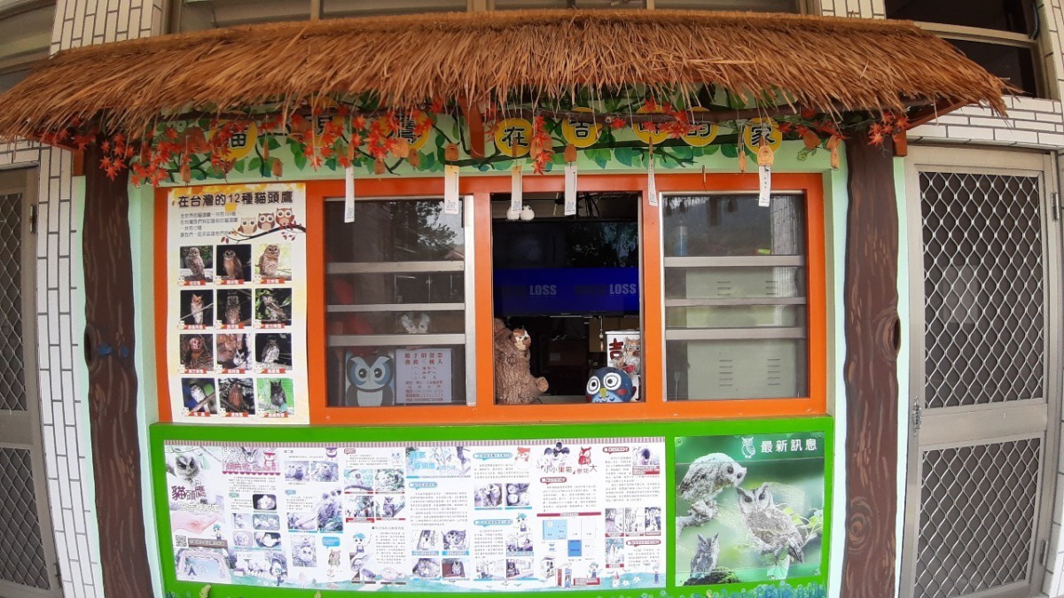 友善校園領角鴞巢箱製作與觀察推廣活動。台中市政府/提供