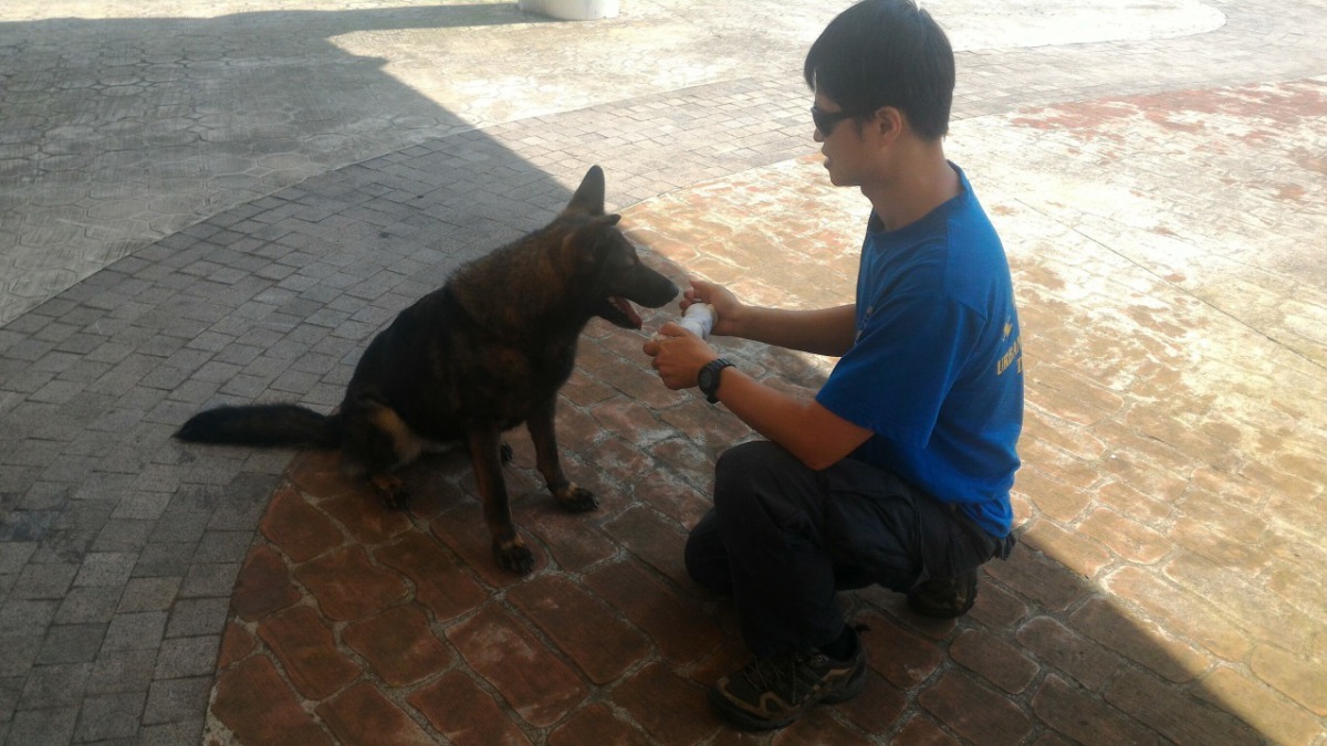 歡迎有意願成為RUBY家人的民眾，填妥申請書向台北市消防局提出申請。台北市消防局/提供
