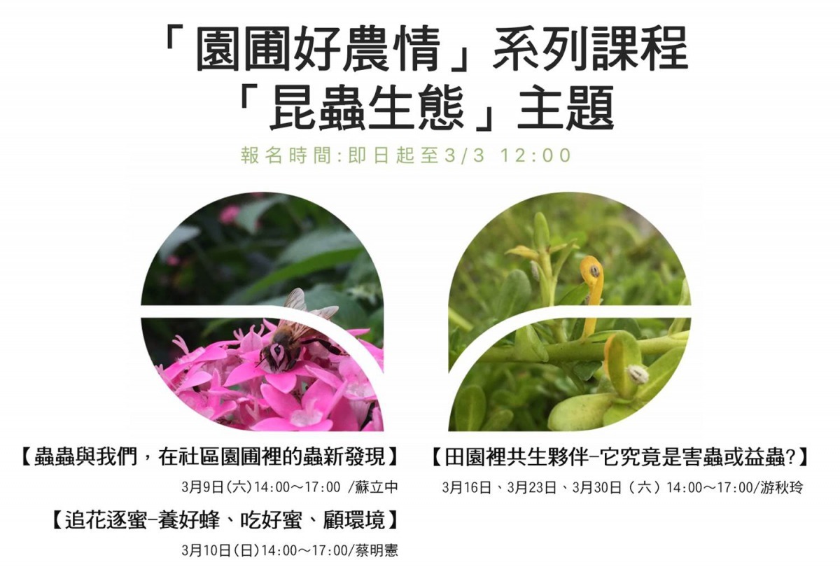 「園圃好農情」系列課程，3月份課程主題為「昆蟲生態」。台北市產發局/提供
