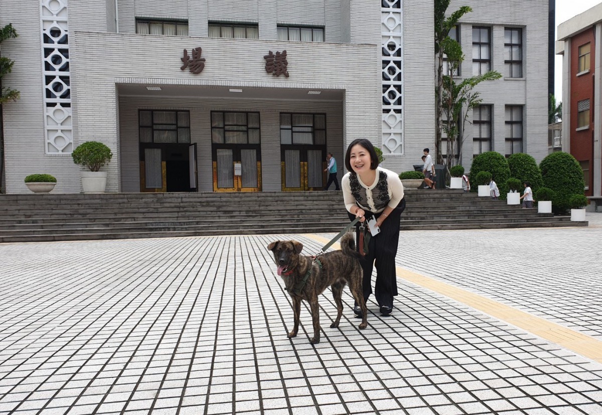 Zaza生活在立法院，許多院區同仁對牠不陌生，時常能見到吳思瑤或助理帶牠到議場前的草皮放風。李娉婷/攝