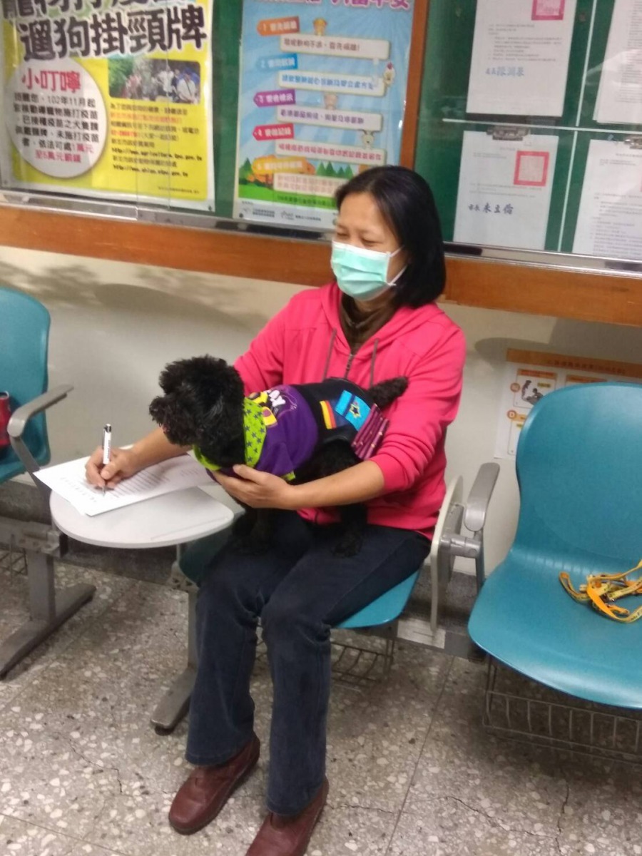 民眾帶自家貴賓犬來辦理免絕育申請。劉凱/翻攝