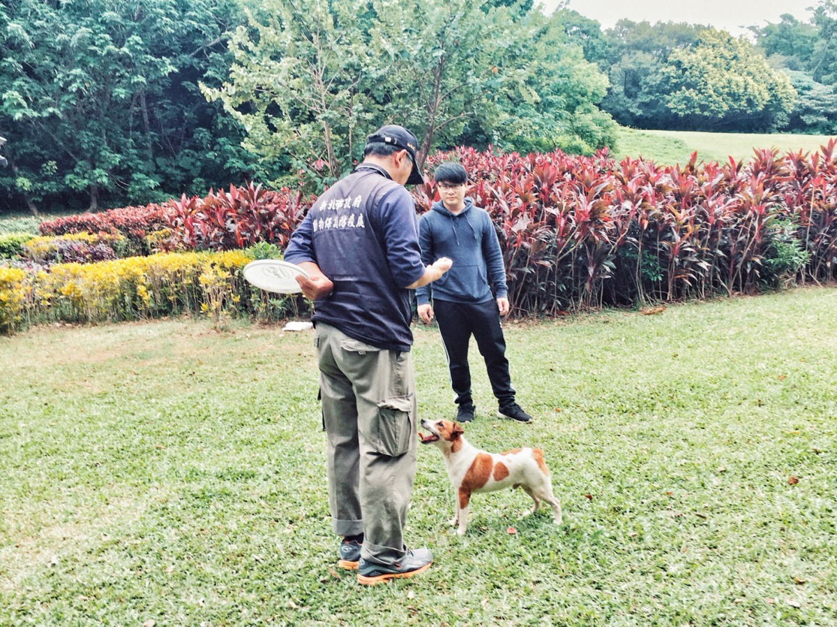 「台灣飛盤狗協會」教官楊期閎日前受邀前往新北市淡水動物之家，教導動保員如何訓練毛寶貝進行飛盤互動。新北市動保處/提供