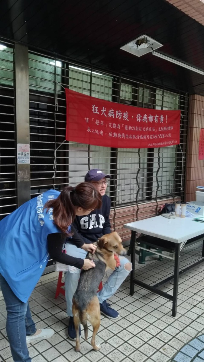 為毛孩辦理寵物登記，若走失時可第一時間連絡主人。劉凱/翻攝