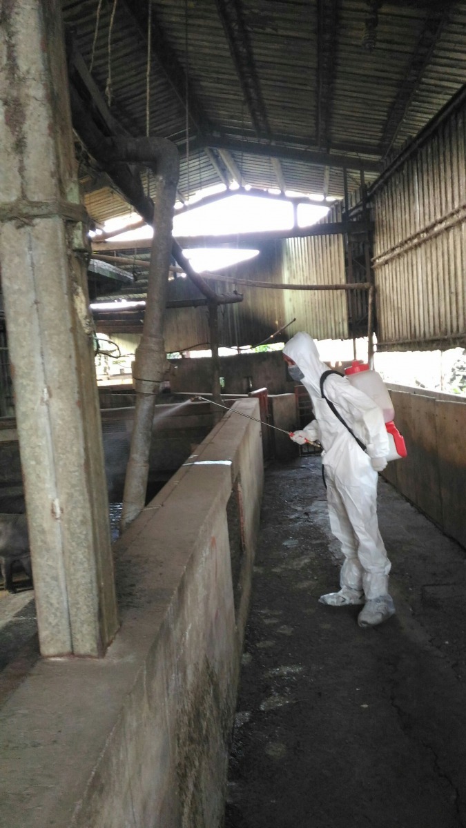 動保處派員協助養畜牧場內消毒作業。劉凱/翻攝