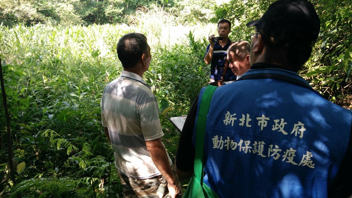 王嫌帶著保七及動保處查緝人員前往捕捉食蛇龜及柴棺龜的地點。劉凱/翻攝