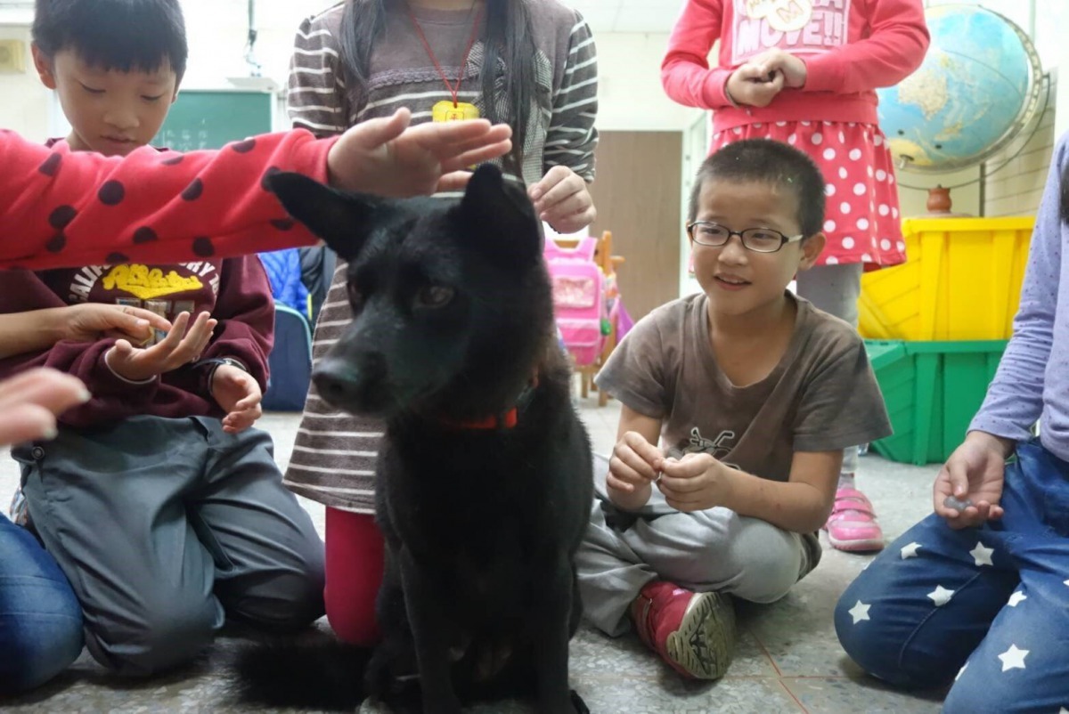 龜山國小校犬黑寶康復，開心回到學校師生的懷抱。劉凱/翻攝