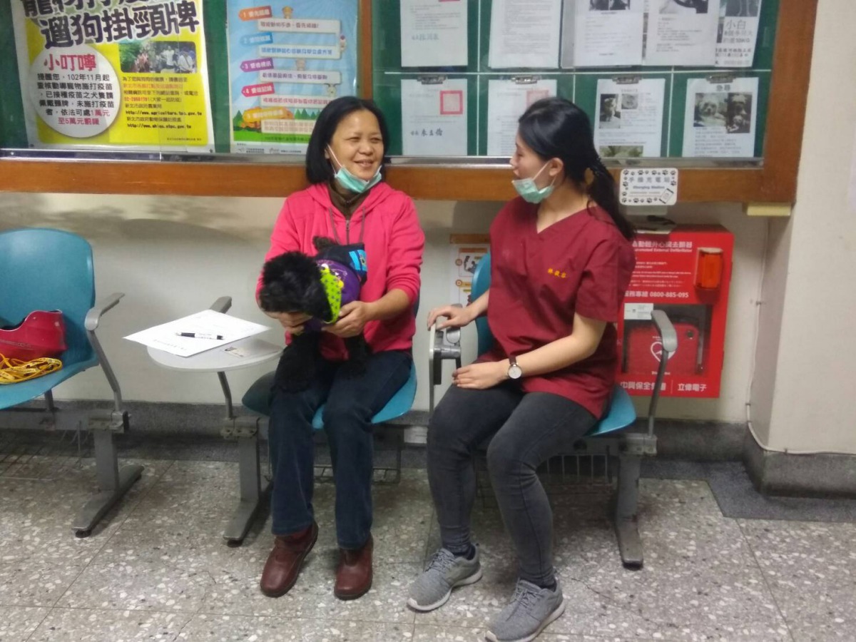 獸醫師衛教飼主未結紮犬隻可能會出現之疾病風險。劉凱/翻攝