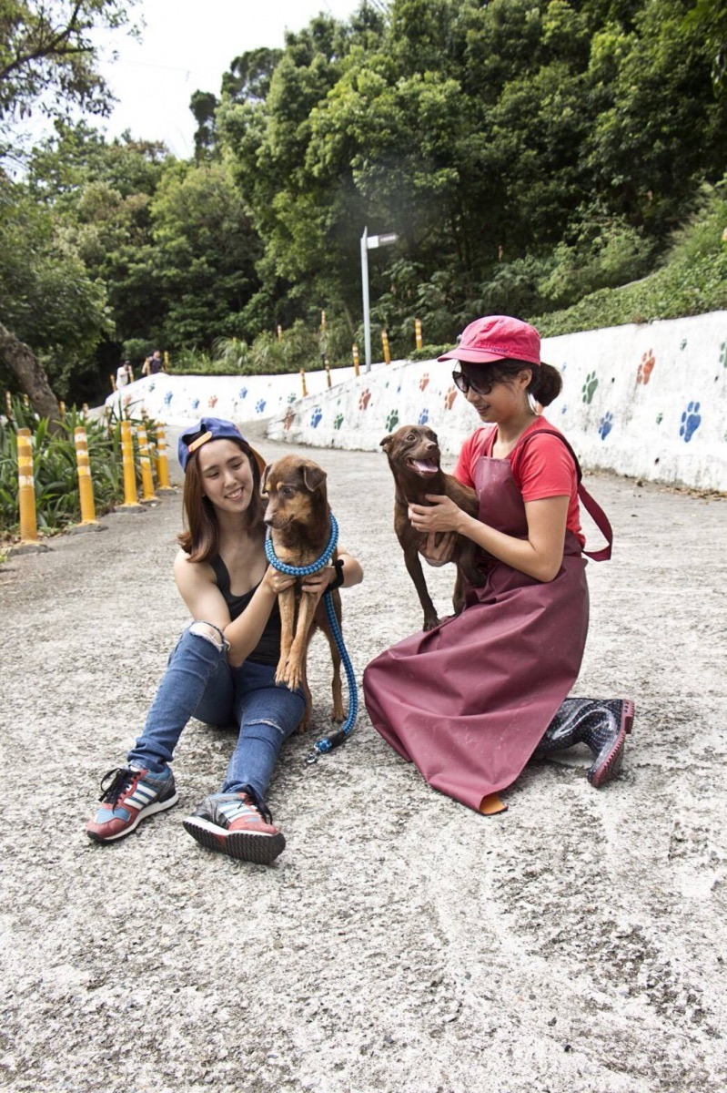 瞎瞎(左)平時由志工帶出進行親人及親狗訓練。劉凱/翻攝