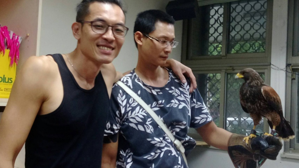 逃家落難的栗翅鷹「浩呆」，幾經波折後終於與主人重逢。劉凱/翻攝