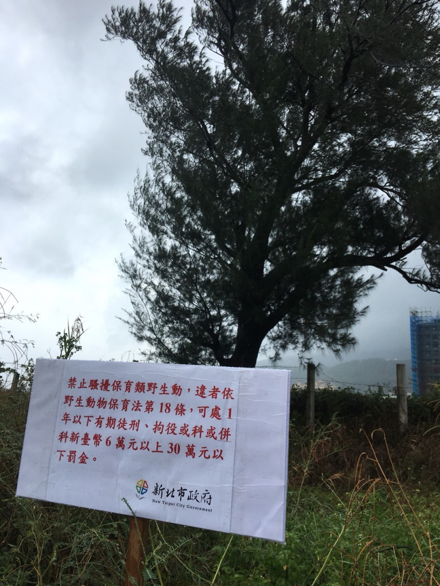 新北市動保處設置禁止騷擾野生動物告示牌。新北市動保處/提供