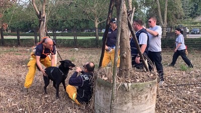 為使搜救犬於災害中發揮效能，中市府強化救難犬「路徑追蹤」技術。台中市消防局/提供