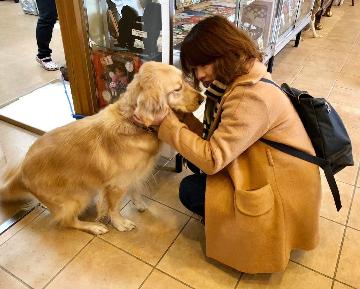 許多飼主將家中毛小孩視為家庭成員,希望寵物去世後能比照人類模式處理身後事。台中市政府/提供