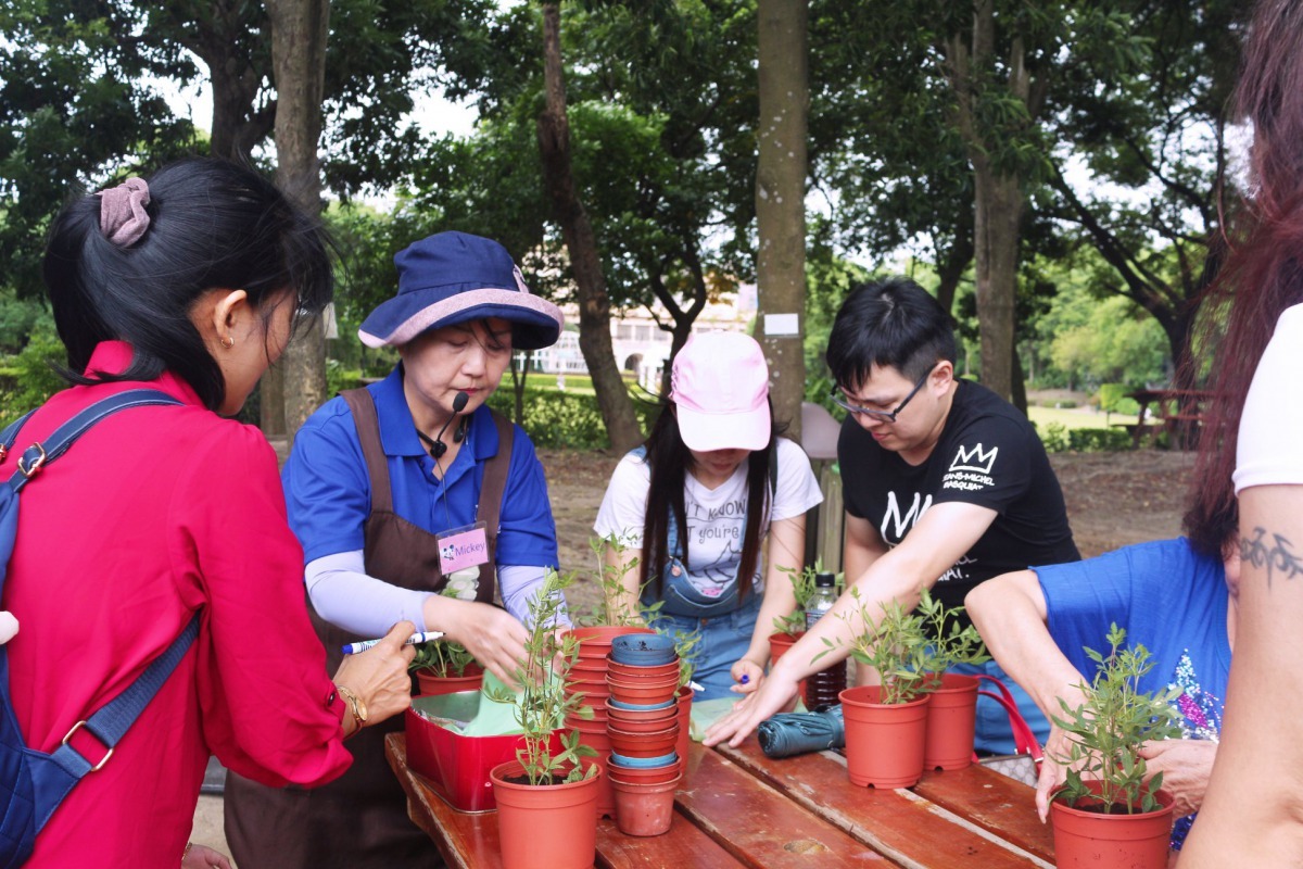 準休閒農場盆栽DIY體驗活動。新北市政府/提供