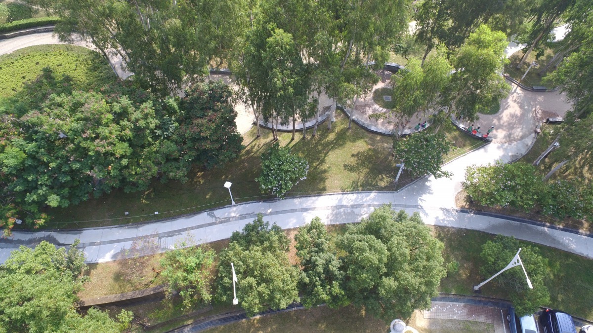 自行車道改善。台中市新工處/提供