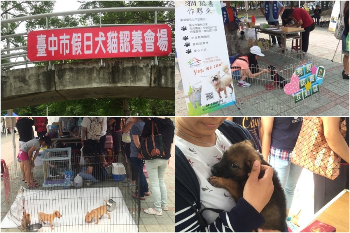 只要天氣狀況良好，台中市動保處每週六都會在文心森林公園舉辦認養會。　取自台中市動保處網站