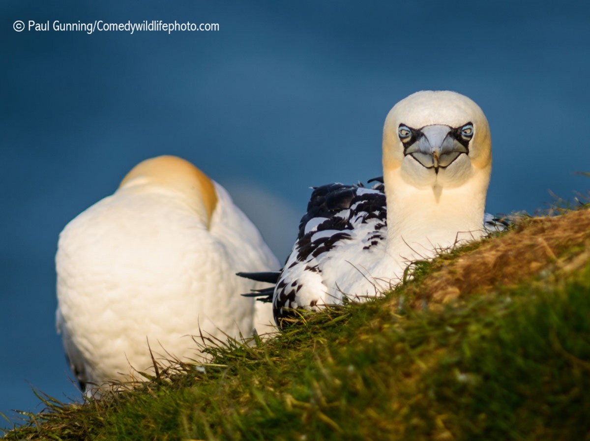 photo by Paul Gunning