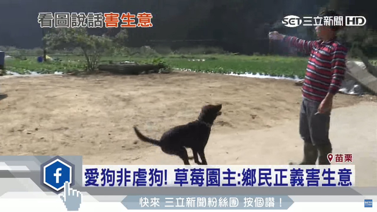 小黑喜歡玩鞭炮，飼主傅先生向媒體示範。　翻攝三立新聞