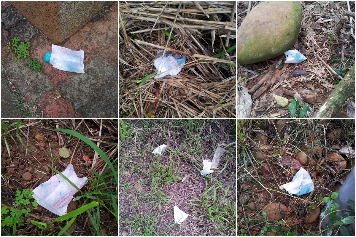 今年1月15日，又有民眾在台中都會公園周邊發現大量毒餌。 取自臉書