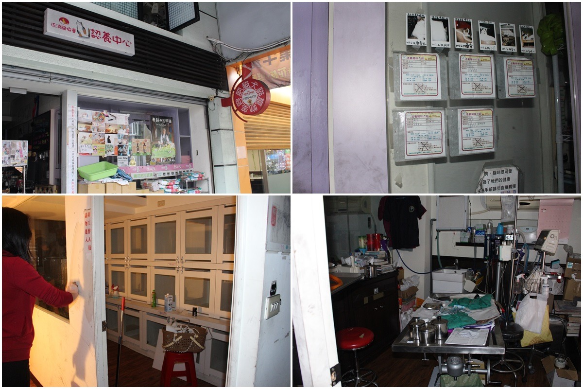 信義路六段的認養中心與貓醫院為北貓協會所有，與其理事長所開設之肥貓寵物用品店、寵物美容教室共用空間，硬體設備無太大損失，志工今天上午已展開清理。　　李娉婷/攝