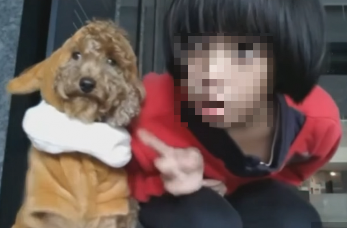 小女孩覺得自己是在跟狗玩，但影片中小狗表現得非常驚恐。　備份影片截圖