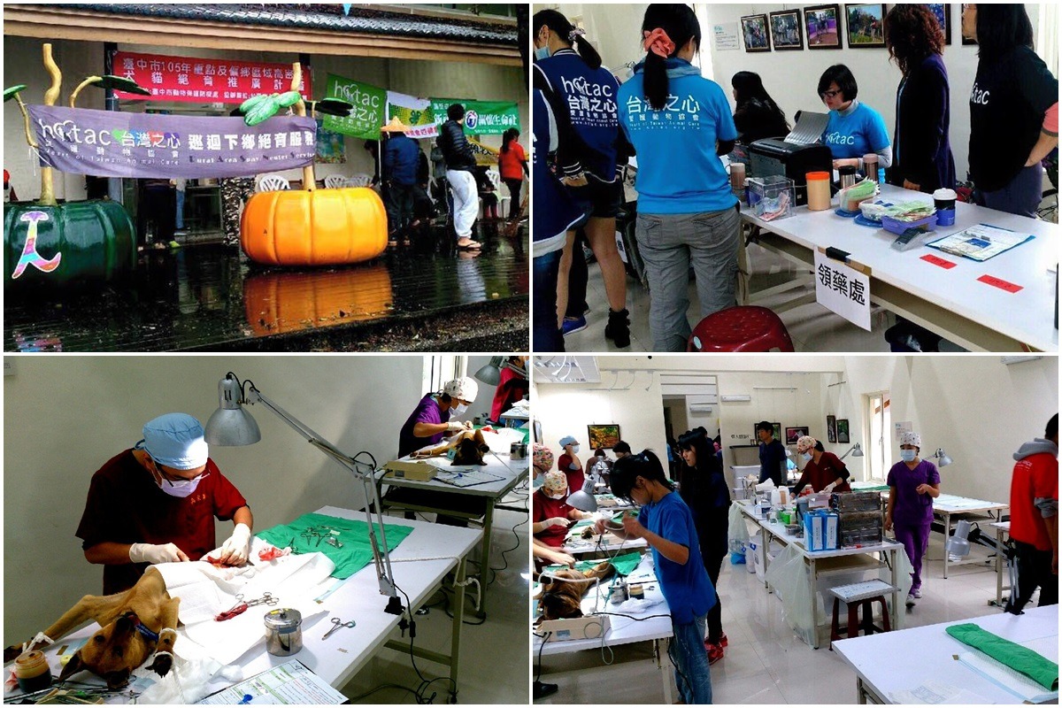 台中市105年度重點及偏鄉區域高密度犬貓絕育推廣計畫13日開跑，第一場由台灣之心愛護動物協會辦理。　台中市動保處/提供