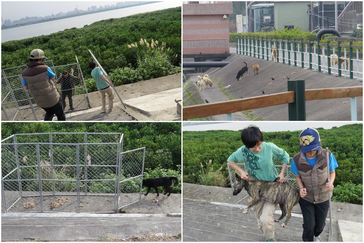 台大懷生社於河濱捕捉流浪狗進行絕育。懷生社成員中有幾位是小動物獸醫師。取自台大關懷生命社臉書