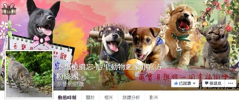 Facebook粉絲頁是公立收容所送養流浪動物的重要平台。　臉書截圖