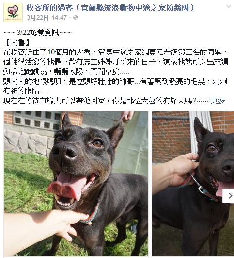 宜蘭縣流浪動物中途之家粉絲團常有感謝志工的文字，搭配與狗狗互動的溫馨照片，讓更多人願意到收容所當志工。　臉書截圖