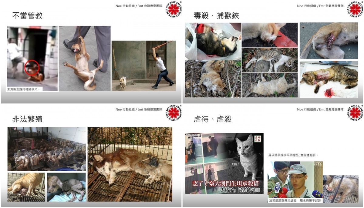 李榮峰向台中市員警分享處理各類動保案件的經驗。 李榮峰/提供