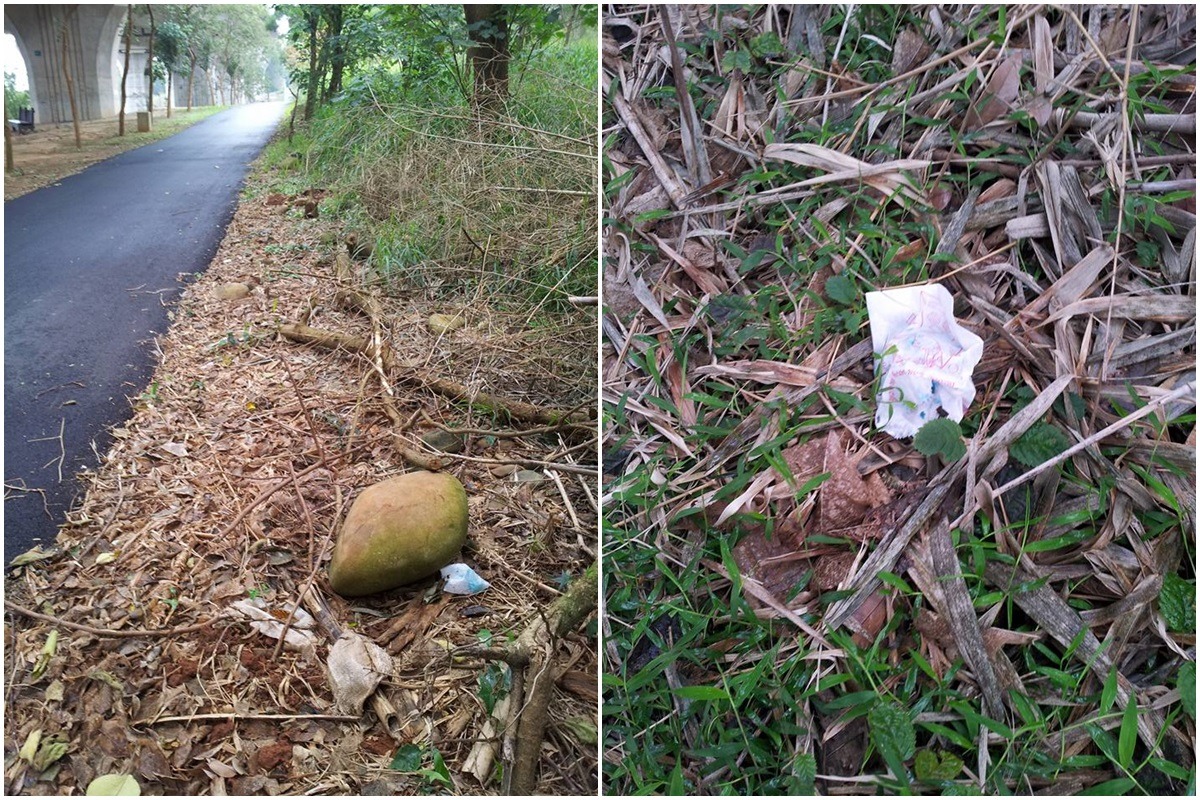 毒餌的遠景與特寫。 台灣動物新聞網資料照(台中毒狗案,汪育疆/提供)