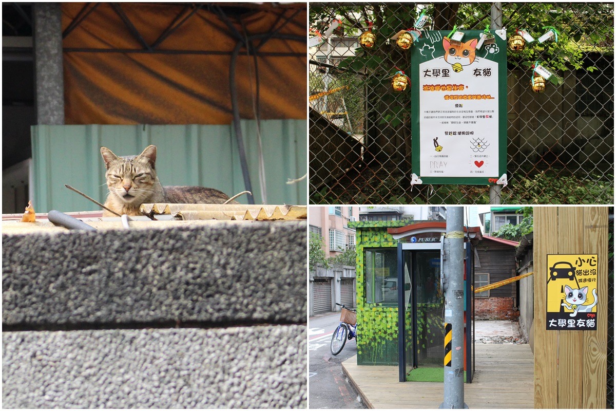頤和文化與大學里共同打造「大學里友貓」活動，除了提供照護資源與定期導覽外，也在大學里張貼告示提醒用路人注意街貓。　李娉婷/攝